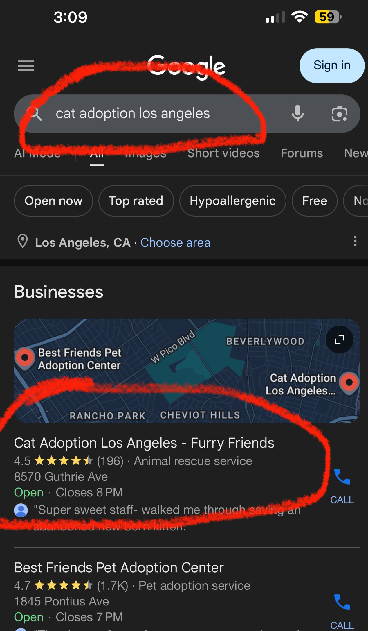 Google Business Setup