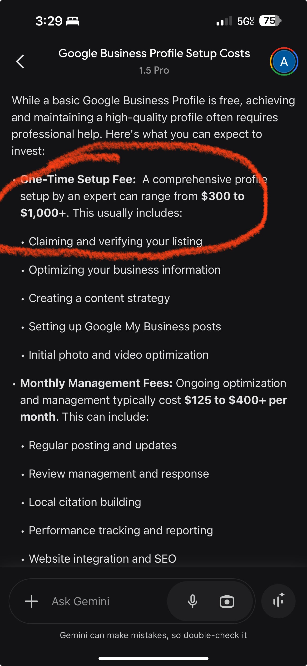 Average cost of Google Business Setup