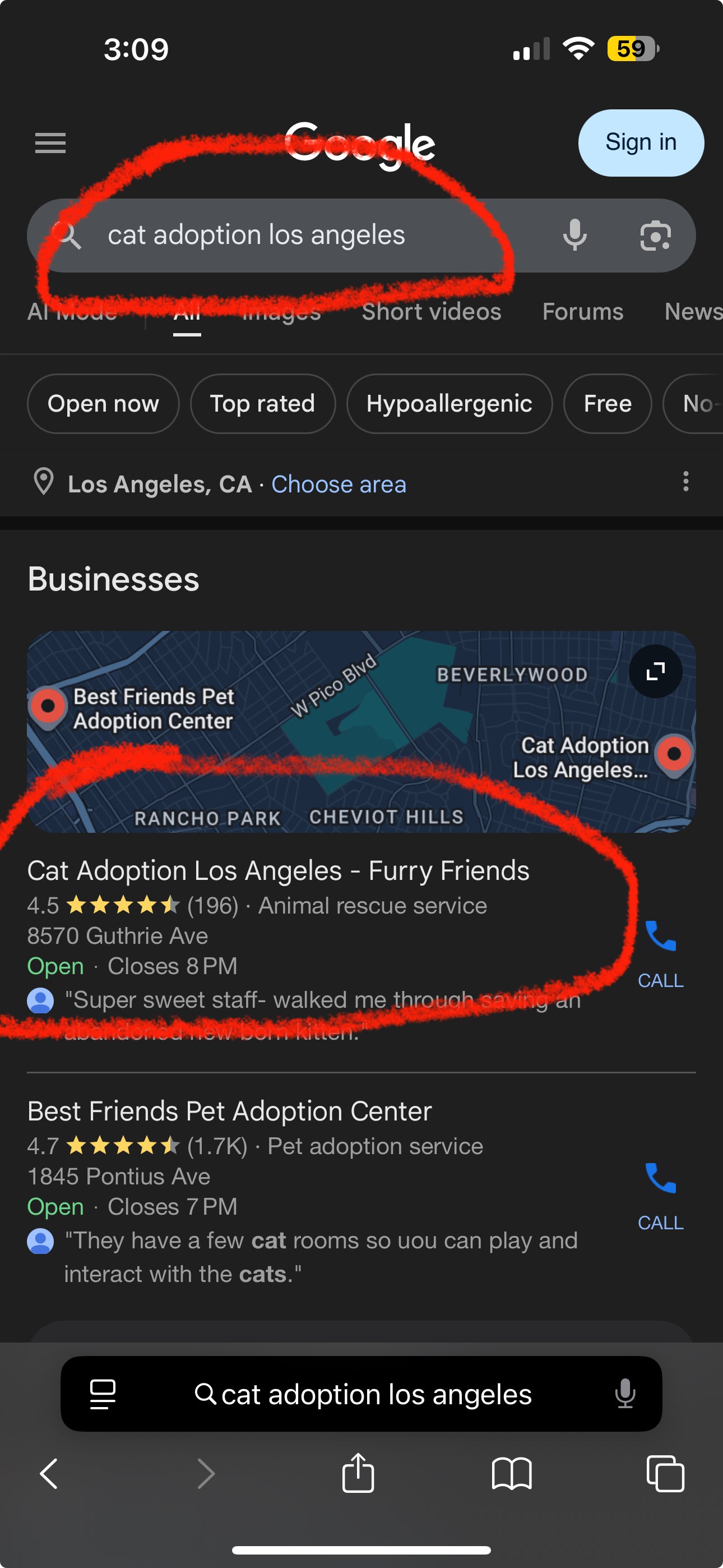 Google Business Setup