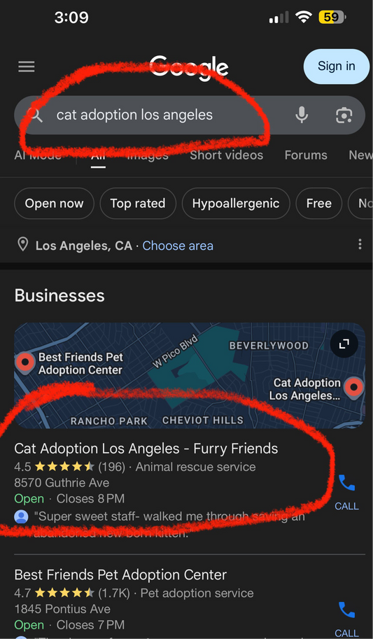 Google Business Setup